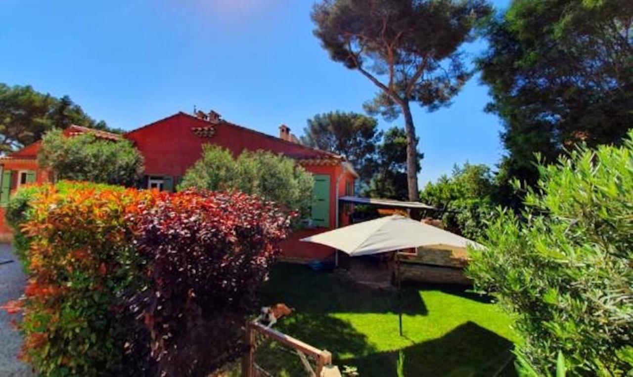 Appartements Avec Jardin Dans Villa Rocaille Кассі Екстер'єр фото